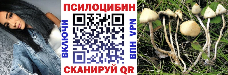 Псилоцибиновые грибы мухоморы  Купить где  Тольятти 